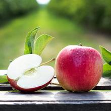 Bio Jamba 8 KG von Obstland Ehlers