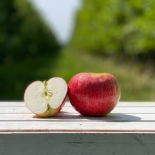 Bio Discovery Apfel 4KG von Obstland Ehlers