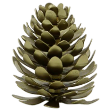 Namensschildhalter "Pinus" im antiken Messing von House Doctor von House Doctor