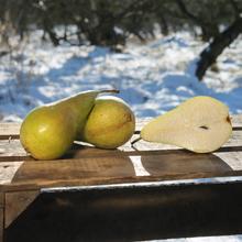 Birne Concorde 2.2KG von Obstland Ehlers