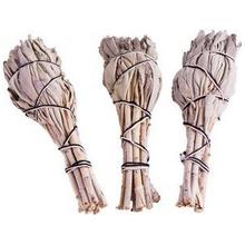 Weißer Salbei mini 3er Pack von Berk GmbH & Co. KG