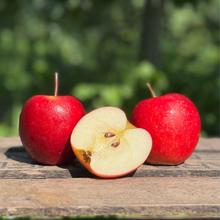 Inored Bio Apfel 8KG von Obstland Ehlers