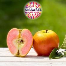 Kissabel Jaune Apfel 4KG von Obstland Ehlers