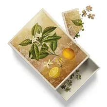 Mini Matchbox Puzzle Lemon von Ohh Deer